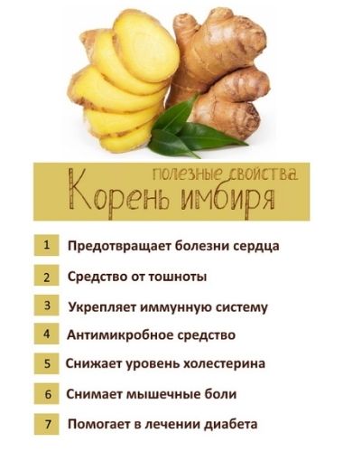 Польза имбиря